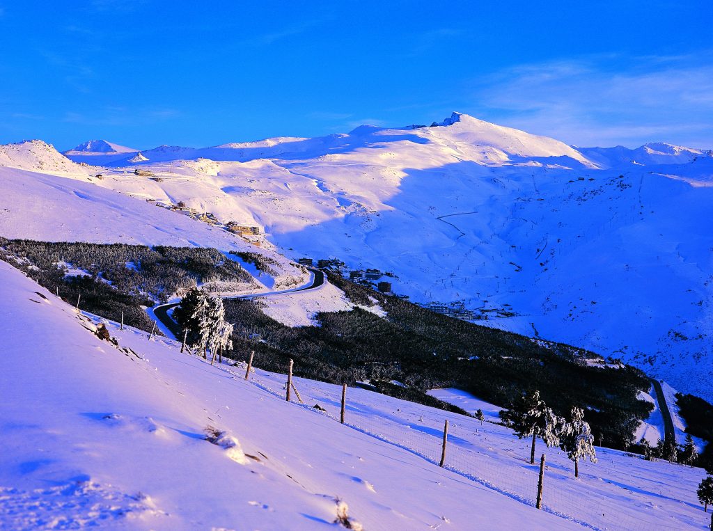 gestión apartamentos sierra nevada